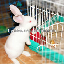 Trade Assurance China Factory Supply Stainless Steel Material Rabbit Cages for Sales